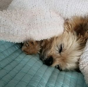 Meet your Posher, Na jung